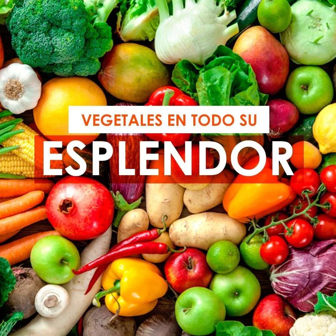 krautisana_273560177_930562937630678_3549933162506422972_n-_1_